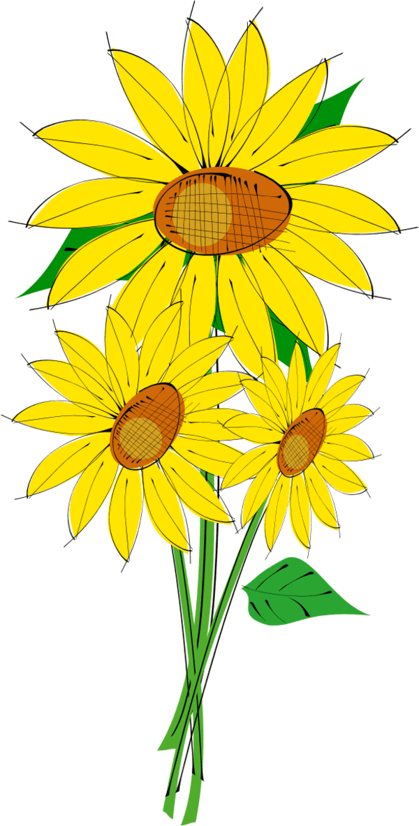 Sunflower Clipart - Sun Flowers Clip Art - Free Transparent PNG Clipart Images Download. - Transparent PNG Free Download | PNGio