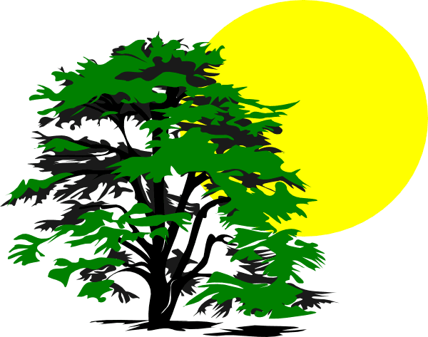 Tree And Sun Clip Art - Free Transparent PNG Clipart Images Download. - Transparent PNG Free Download | PNGio