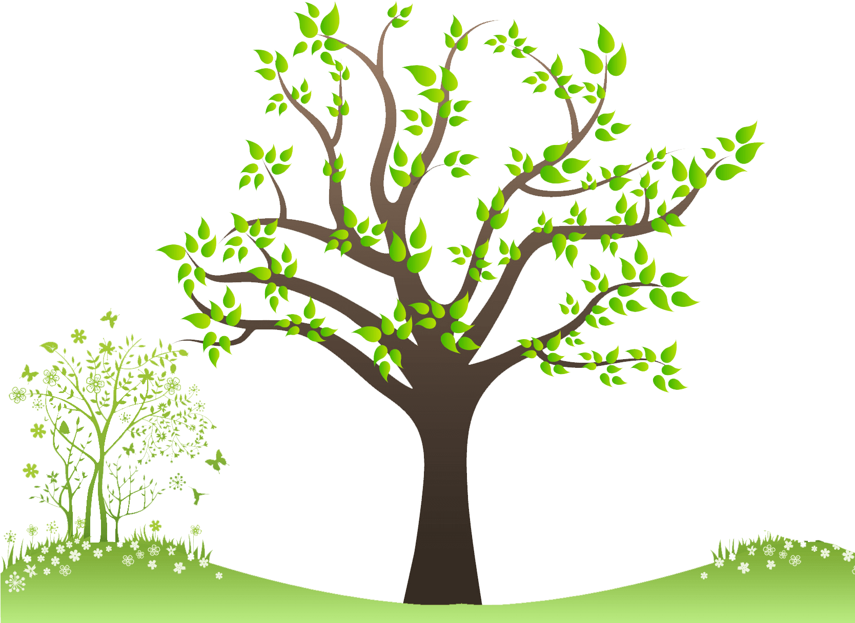 Family Tree - Angle Of Elevation Sun Tree - Free Transparent PNG Clipart Images Download. - Transparent PNG Free Download | PNGio
