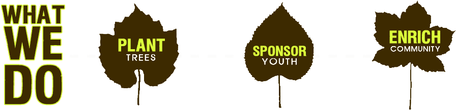 “filling The Streets With Life” From Truth About Trees - Placebo Battle For The Sun - Free Transparent PNG Clipart Images Download. - Transparent PNG Free Download | PNGio