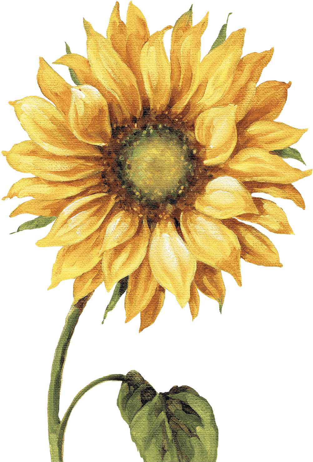 Çiçekler Png Clipart Lisa Audit - Lisa Audit - Under The Sun I Canvas - Free Transparent PNG Clipart Images Download. - Transparent PNG Free Download | PNGio
