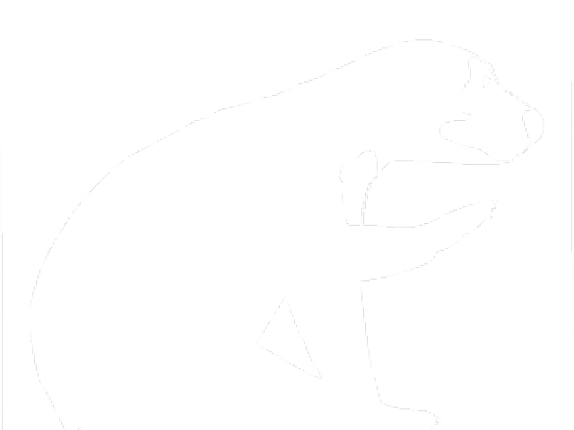 Sun Bear Clipart Small Bear - Sun Bear - Free Transparent PNG Clipart Images Download. - Transparent PNG Free Download | PNGio