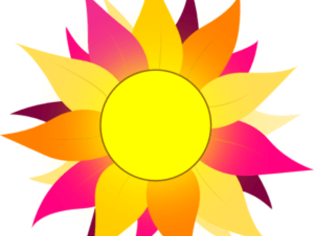 Sunflower Clipart Colorful - Sun With Pink & Purple Rays Mugs - Free Transparent PNG Clipart Images Download. - Transparent PNG Free Download | PNGio