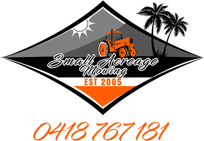 Acreage Mowing Sunshine Coast - Orlando Souvenir Tshirt Gift Palm Tree Sun Florida - Free Transparent PNG Clipart Images Download. - Transparent PNG Free Download | PNGio