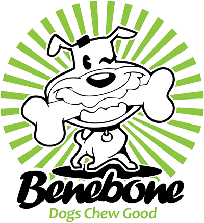 Sun Vectors - Free Transparent PNG Clipart Images Download. - Transparent PNG Free Download | PNGio