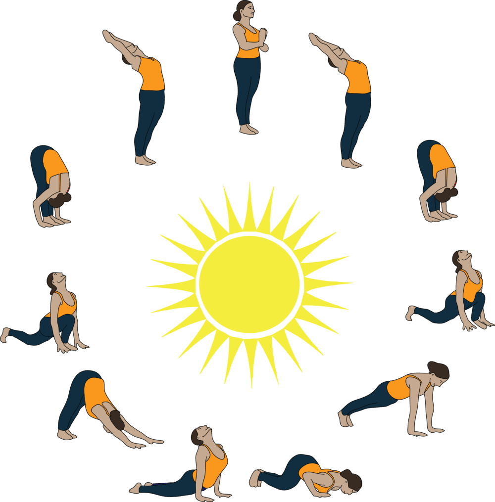 Circulatory System And Sun Salutations City Yoga Studio - Sun Salutation - Free Transparent PNG Clipart Images Download. - Transparent PNG Free Download | PNGio