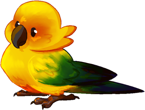 Bird Png Clipart - Sun Conure Cartoon Png - Free Transparent PNG Clipart Images Download. - Transparent PNG Free Download | PNGio