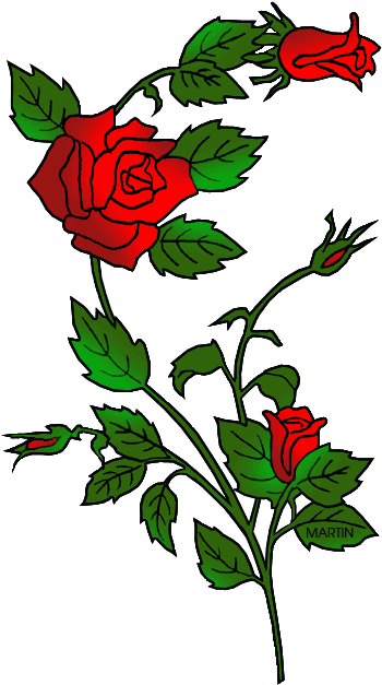 State Flower Of Oklahoma - Wedding Roses Embroidery Design - Free Transparent PNG Clipart Images Download. - Transparent PNG Free Download | PNGio