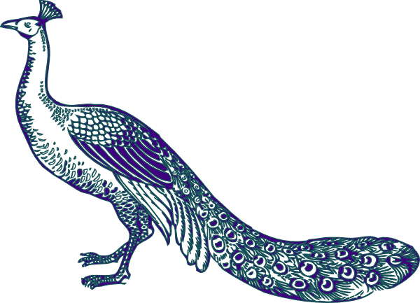 Wedding Clip Art Gallery Online - Wedding Peacock Clip Art - Free Transparent PNG Clipart Images Download. - Transparent PNG Free Download | PNGio