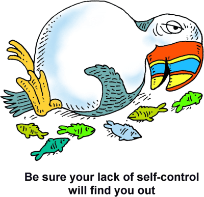 Stuffed Puffin - William And Kate Wedding - Free Transparent PNG Clipart Images Download. - Transparent PNG Free Download | PNGio