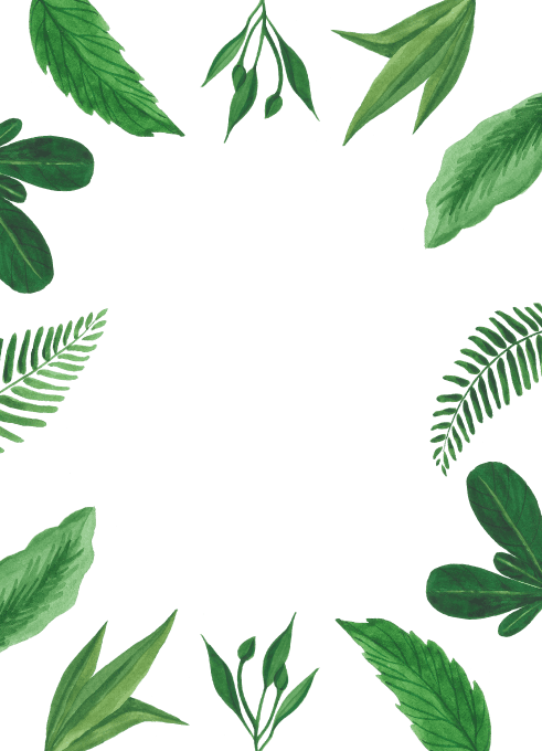 Tropical Leaf Wedding Invitation - Free Transparent PNG Clipart Images Download. - Transparent PNG Free Download | PNGio