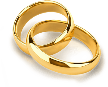 Wedding Rings Png Wedding Rings Png Wedding Ring Png - Wedding Rings Png Without Background - Free Transparent PNG Clipart Images Download. - Transparent PNG Free Download | PNGio