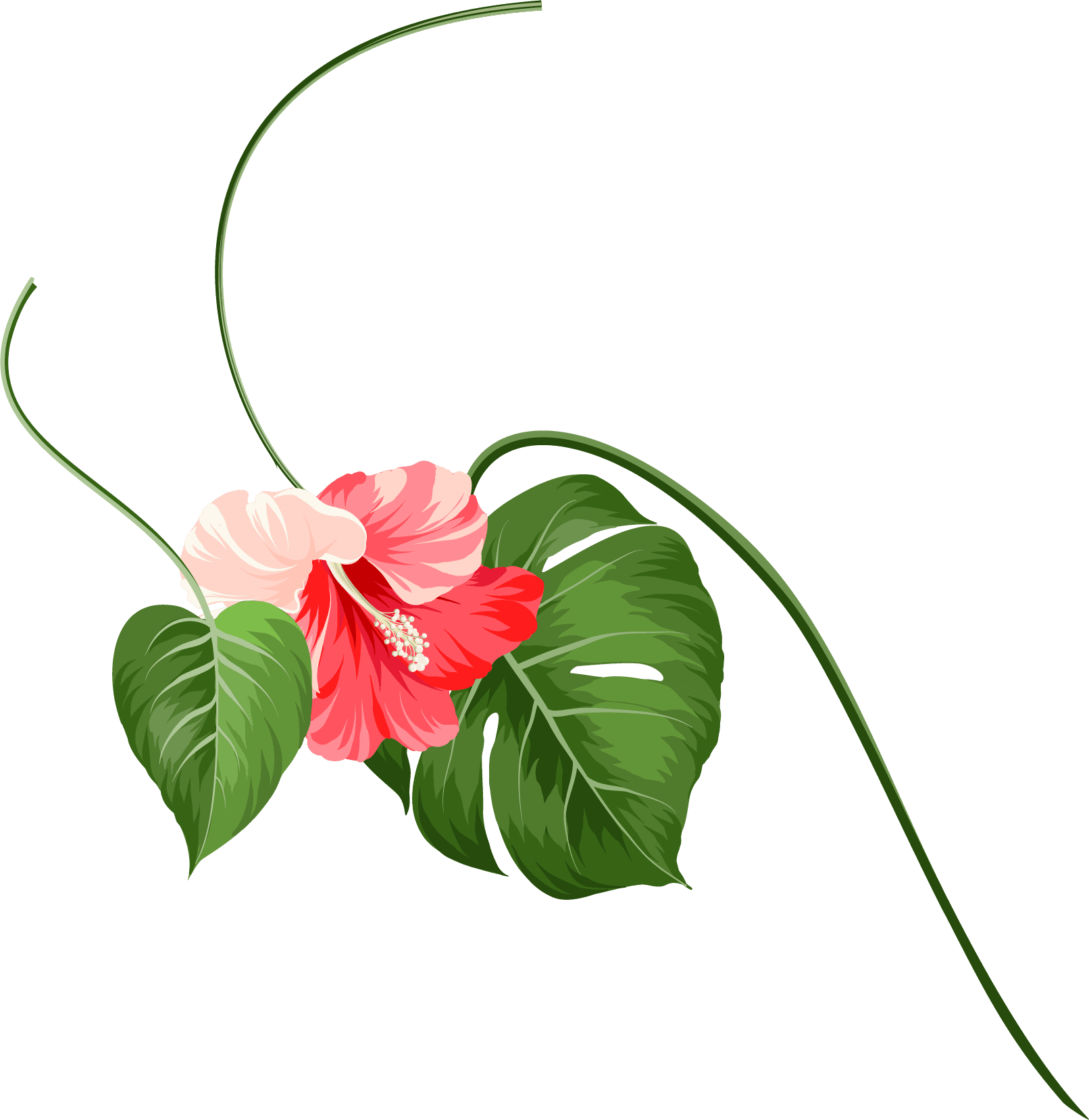 Match Me With A Travel Agent - Wedding - Free Transparent PNG Clipart Images Download. - Transparent PNG Free Download | PNGio