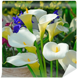 Go To Image - Wedding - Free Transparent PNG Clipart Images Download. - Transparent PNG Free Download | PNGio