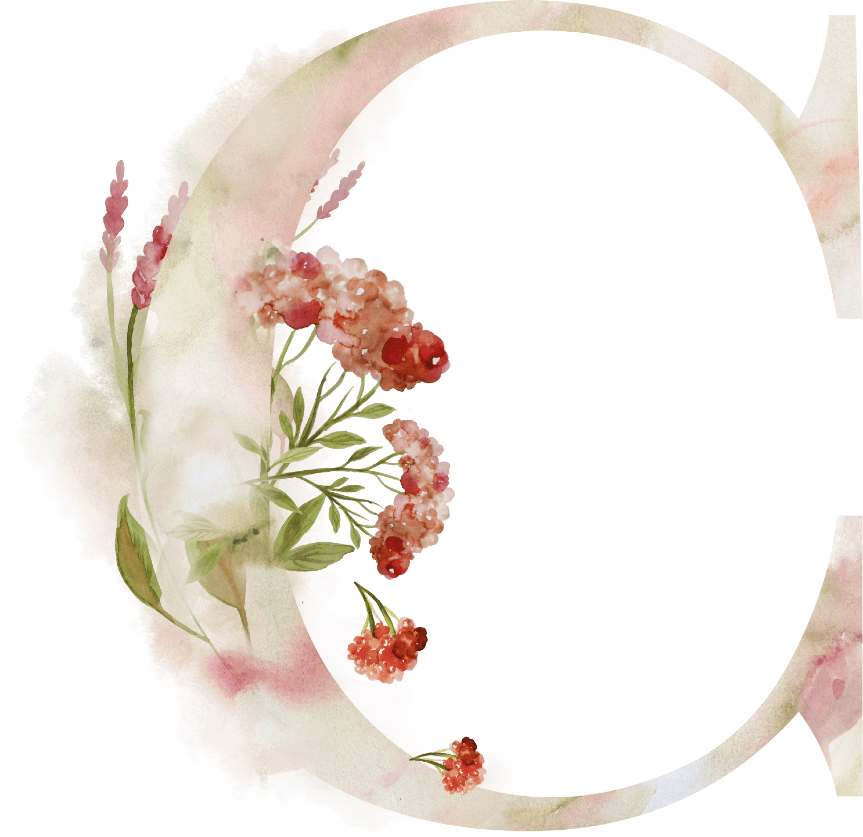 Bsuchstabe C Alphabet Monogram Zeichen Watercoler Gezeichnet - Sleepy Ridge Weddings - Free Transparent PNG Clipart Images Download. - Transparent PNG Free Download | PNGio