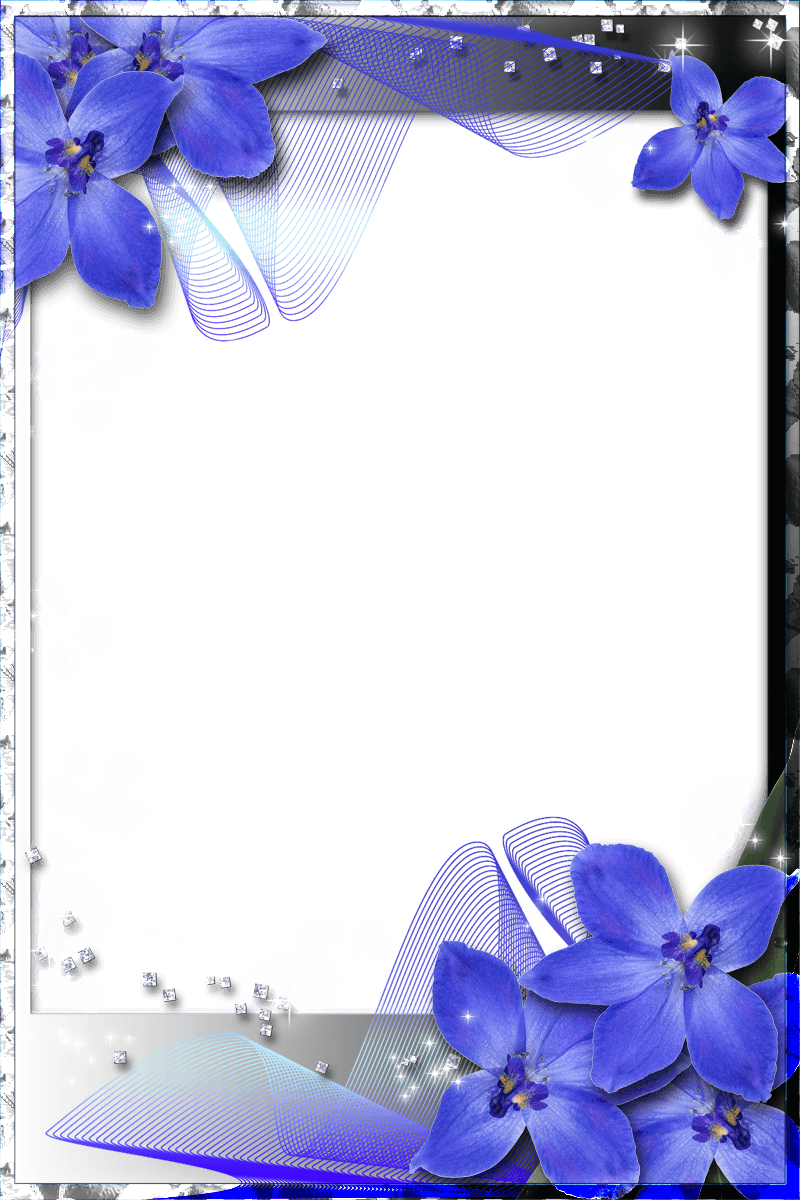 Beautiful Transparent Frame With Blue Orchids - Blue Wedding Borders And Frames - Free Transparent PNG Clipart Images Download. - Transparent PNG Free Download | PNGio