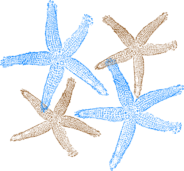 Beach Wedding Clip Art - Free Transparent PNG Clipart Images Download. - Transparent PNG Free Download | PNGio