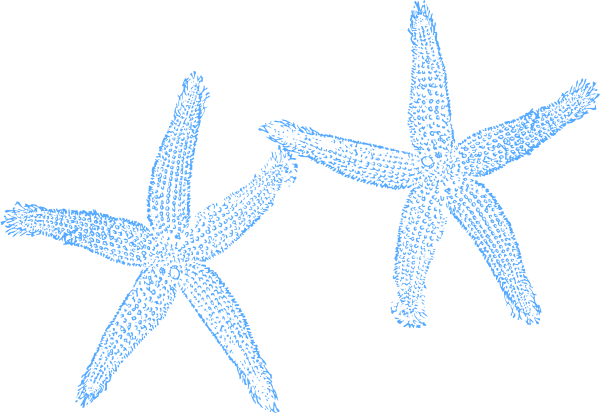Starfish Clipart Blue Starfish - Beach Wedding Welcome Bag - Free Transparent PNG Clipart Images Download. - Transparent PNG Free Download | PNGio
