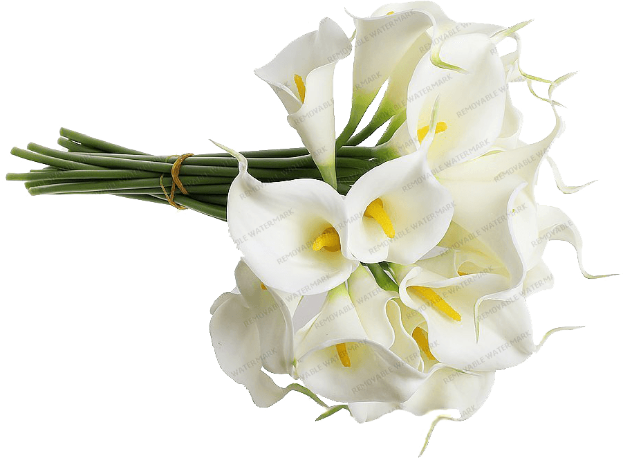 Rosa Palo De Rosa - Wedding Bouquet - Free Transparent PNG Clipart Images Download. - Transparent PNG Free Download | PNGio