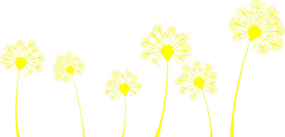 Drop Us A Line - Dandelions Plantable Wedding Invitations - Free Transparent PNG Clipart Images Download. - Transparent PNG Free Download | PNGio
