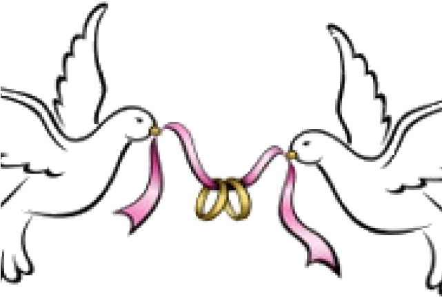 Wedding Dove Clipart - Wedding Doves Clipart - Free Transparent PNG Clipart Images Download. - Transparent PNG Free Download | PNGio