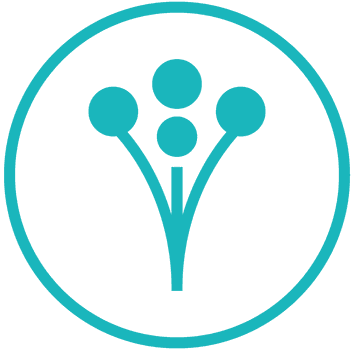 Jumpstart Kept Everyone Dancing All Night At Our Wedding - Wedding Wire - Free Transparent PNG Clipart Images Download. - Transparent PNG Free Download | PNGio