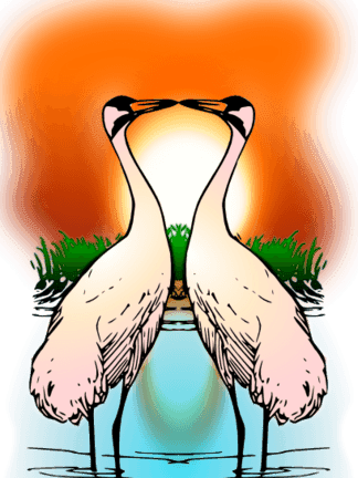 Valessiobrito两个爱鸣鹤剪贴画 - 30th Wedding Anniversary / Aunt And Uncle - Cranes - Free Transparent PNG Clipart Images Download. - Transparent PNG Free Download | PNGio