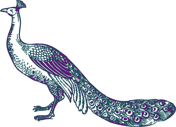 Free Peacock Clipart - Wedding Peacock Clip Art - Free Transparent PNG Clipart Images Download. - Transparent PNG Free Download | PNGio