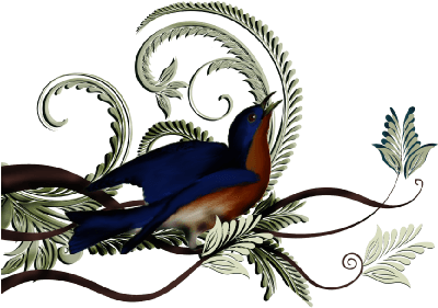 Birds And Butterflies Elle Blue Bird Artwork - Wedding Seating Chart Template - Free Transparent PNG Clipart Images Download. - Transparent PNG Free Download | PNGio