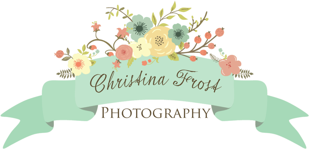 Christina Frost Photography - Wedding - Free Transparent PNG Clipart Images Download. - Transparent PNG Free Download | PNGio