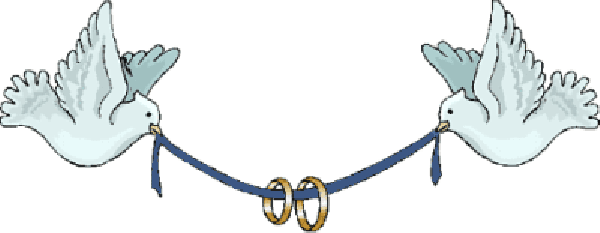 Wedding Dove Png - Congratulations On Your Wedding Gif - Free Transparent PNG Clipart Images Download. - Transparent PNG Free Download | PNGio