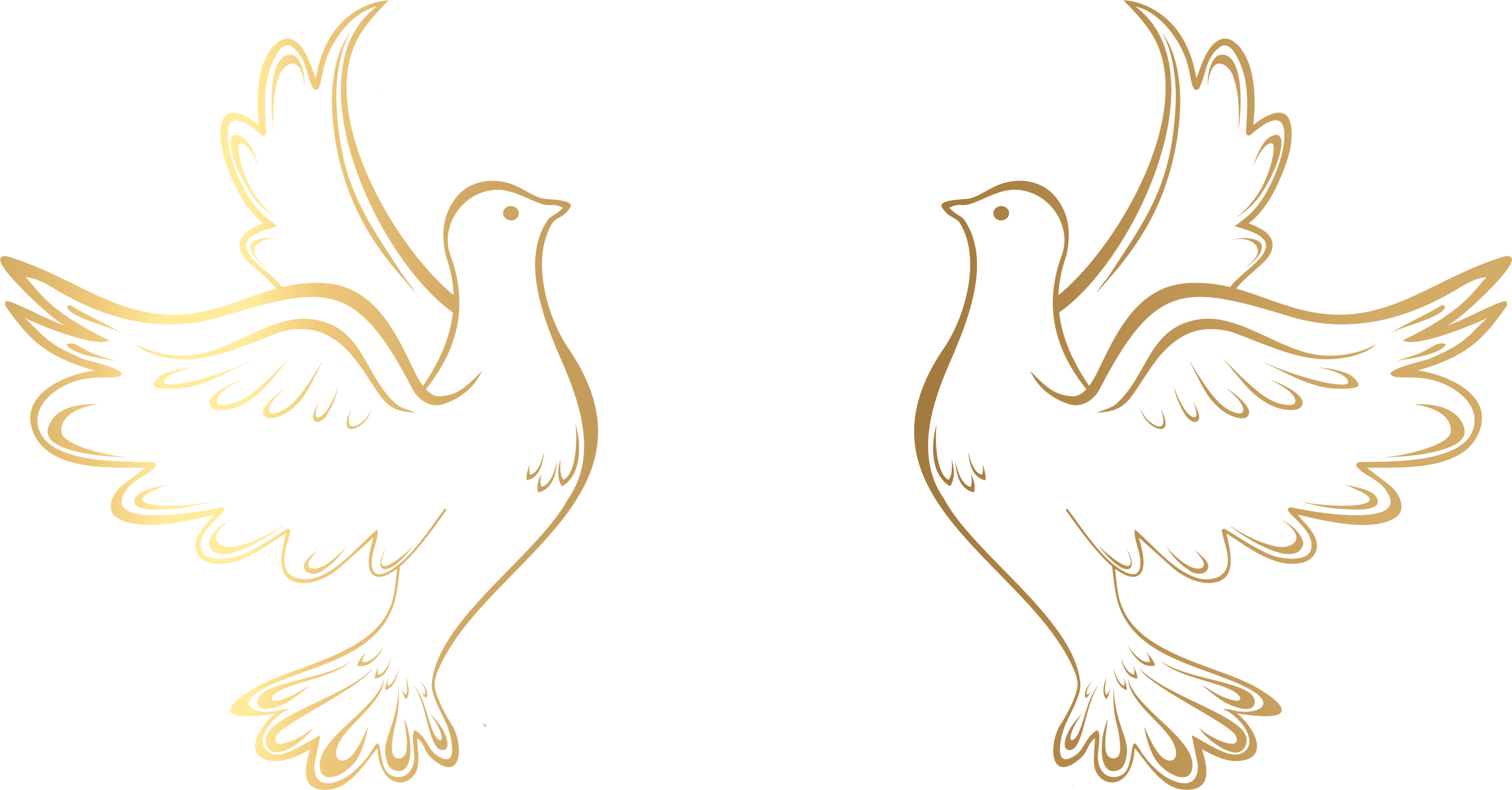 Gold Doves Decoration Transparent Png Clip Art Image - Vector Wedding - Free Transparent PNG Clipart Images Download. - Transparent PNG Free Download | PNGio