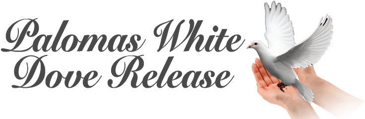 Wedding In White (1972) - Free Transparent PNG Clipart Images Download. - Transparent PNG Free Download | PNGio