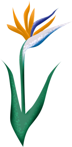 Время Лета - Thank You Wedding Party Card - Free Transparent PNG Clipart Images Download. - Transparent PNG Free Download | PNGio