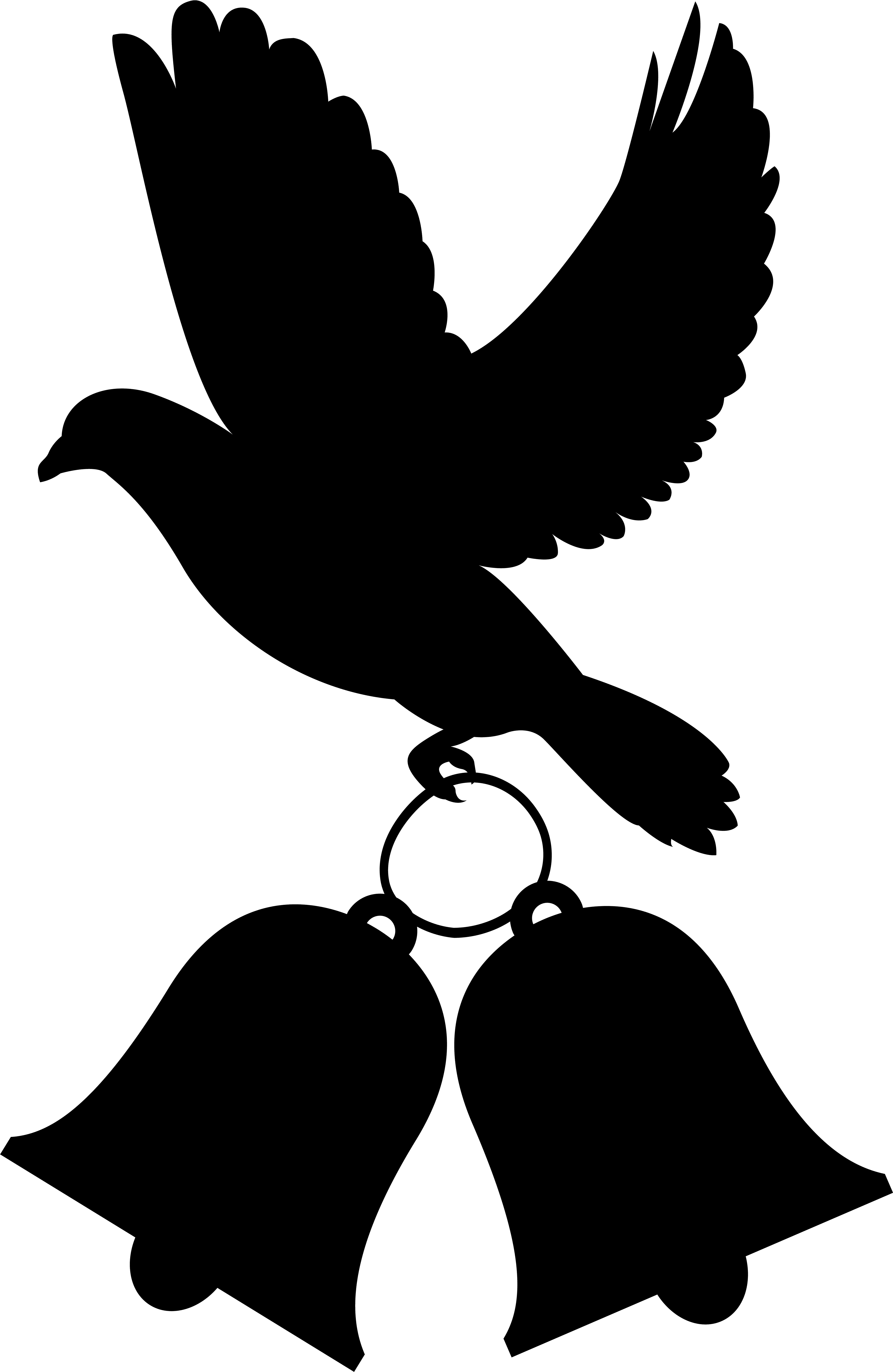 Dove Wedding Decoration Png Clip Art - Clip Art - Free Transparent PNG Clipart Images Download. - Transparent PNG Free Download | PNGio