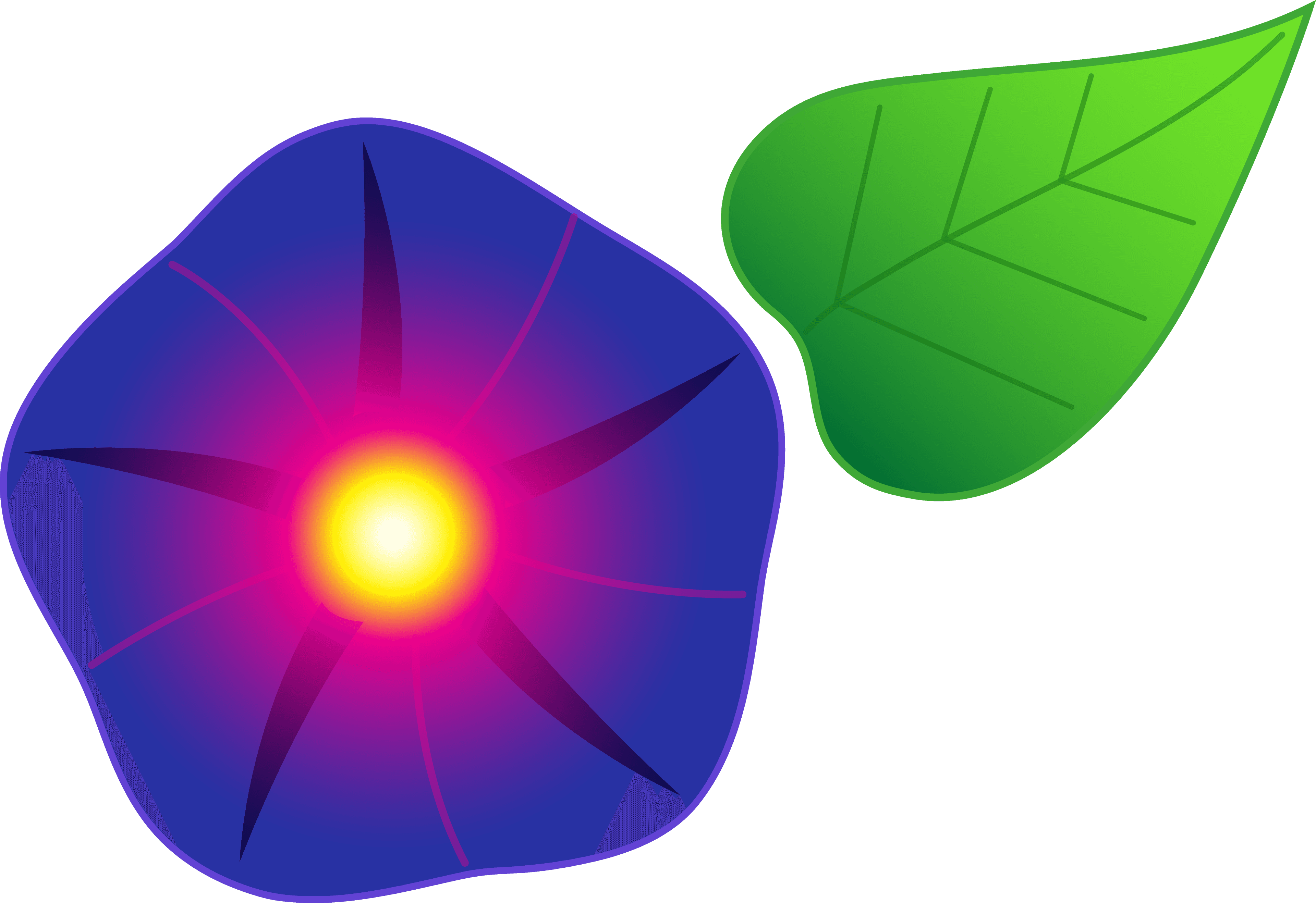 Flourish Clipart Morning Glory Vine Clipart Sweet Pea - Morning Glory Cartoon Flower - Free Transparent PNG Clipart Images Download. - Transparent PNG Free Download | PNGio