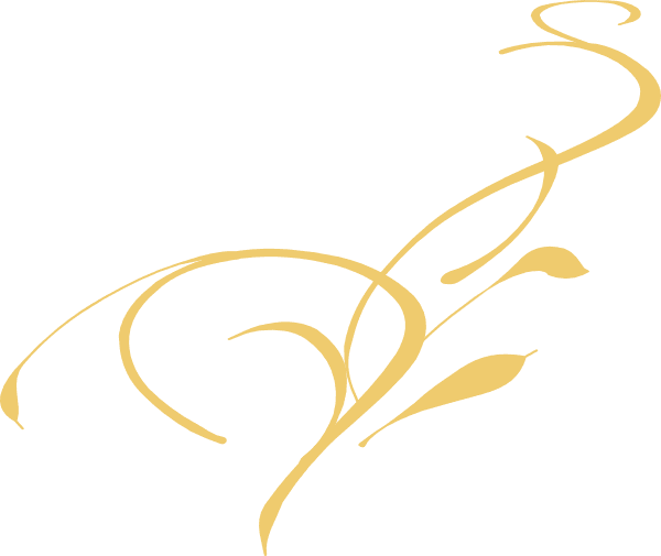 50th Wedding Anniversary Clipart Clipartmonk - Vine Clip Art - Free Transparent PNG Clipart Images Download. - Transparent PNG Free Download | PNGio