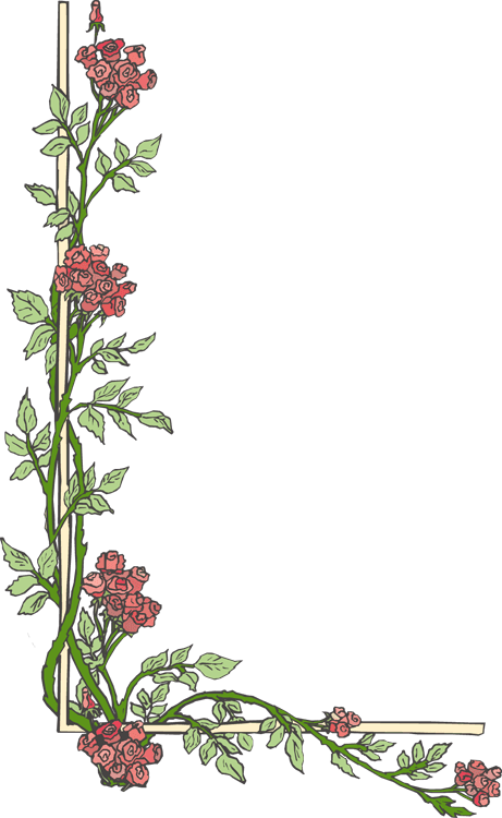 Wedding Page Borders Clipart Library - Cornici Fiori Word - Free Transparent PNG Clipart Images Download. - Transparent PNG Free Download | PNGio