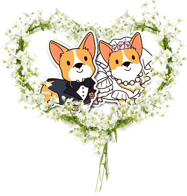 Aubrie Anderson And Curtis Chapman Wedding - Heart - Free Transparent PNG Clipart Images Download. - Transparent PNG Free Download | PNGio