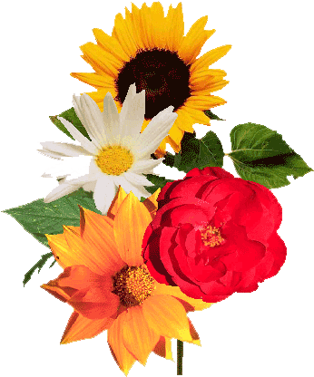 Lovely Wedding Wallpaper Backgrounds Hd Wedding Flowers - Flower Bunch - Free Transparent PNG Clipart Images Download. - Transparent PNG Free Download | PNGio