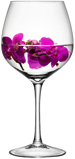 Little Rock Venues And Wedding Receptions - Lsa International Lsa Wine Glass H39cm - Free Transparent PNG Clipart Images Download. - Transparent PNG Free Download | PNGio