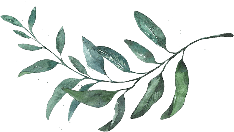 Mocha Tree Studios Ottawa Wedding And Engagement Photographer - Trio De Quadros De Folhagens, Marrom Claro C/ Vidro, - Free Transparent PNG Clipart Images Download. - Transparent PNG Free Download | PNGio