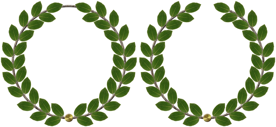 25 Wedding Anniversary Cliparts - Michigan State Greek Week - Free Transparent PNG Clipart Images Download. - Transparent PNG Free Download | PNGio