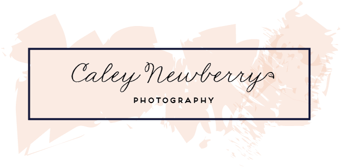 Nashville Wedding Photographer - Calligraphy - Free Transparent PNG Clipart Images Download. - Transparent PNG Free Download | PNGio