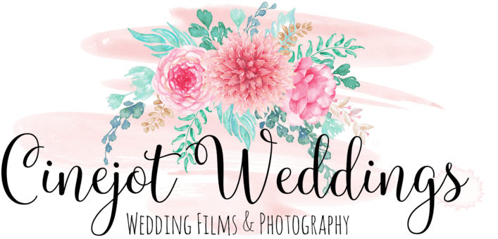 Austin Wedding Photographer - Gerbera - Free Transparent PNG Clipart Images Download. - Transparent PNG Free Download | PNGio