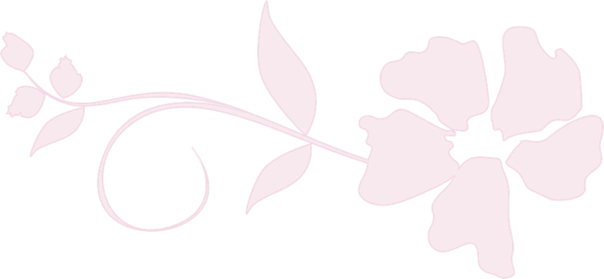 Award Winning Wedding Photographer, Photo Art Studio - Pinkdreiecke Mousepad - Free Transparent PNG Clipart Images Download. - Transparent PNG Free Download | PNGio