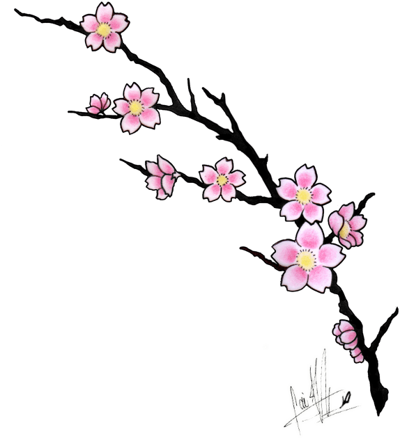Sakura Flower Clip Art - Cherry Blossom Tattoo Design - Free Transparent PNG Clipart Images Download. - Transparent PNG Free Download | PNGio