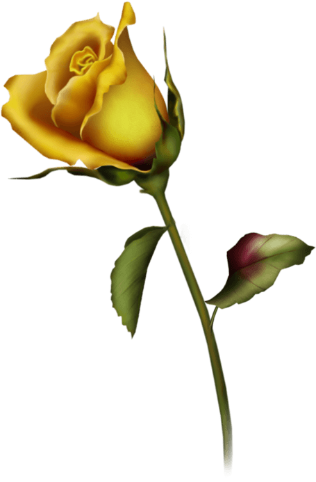 Yellow Rose Clipart Yellow Rose Bud Clip Art Gallery - Rose Buds Tattoo Design - Free Transparent PNG Clipart Images Download. - Transparent PNG Free Download | PNGio