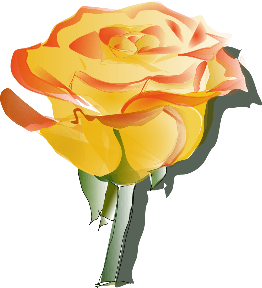 Yellow Rose Clipart Transparent - Yellow Rose Tattoo Designs - Free Transparent PNG Clipart Images Download. - Transparent PNG Free Download | PNGio