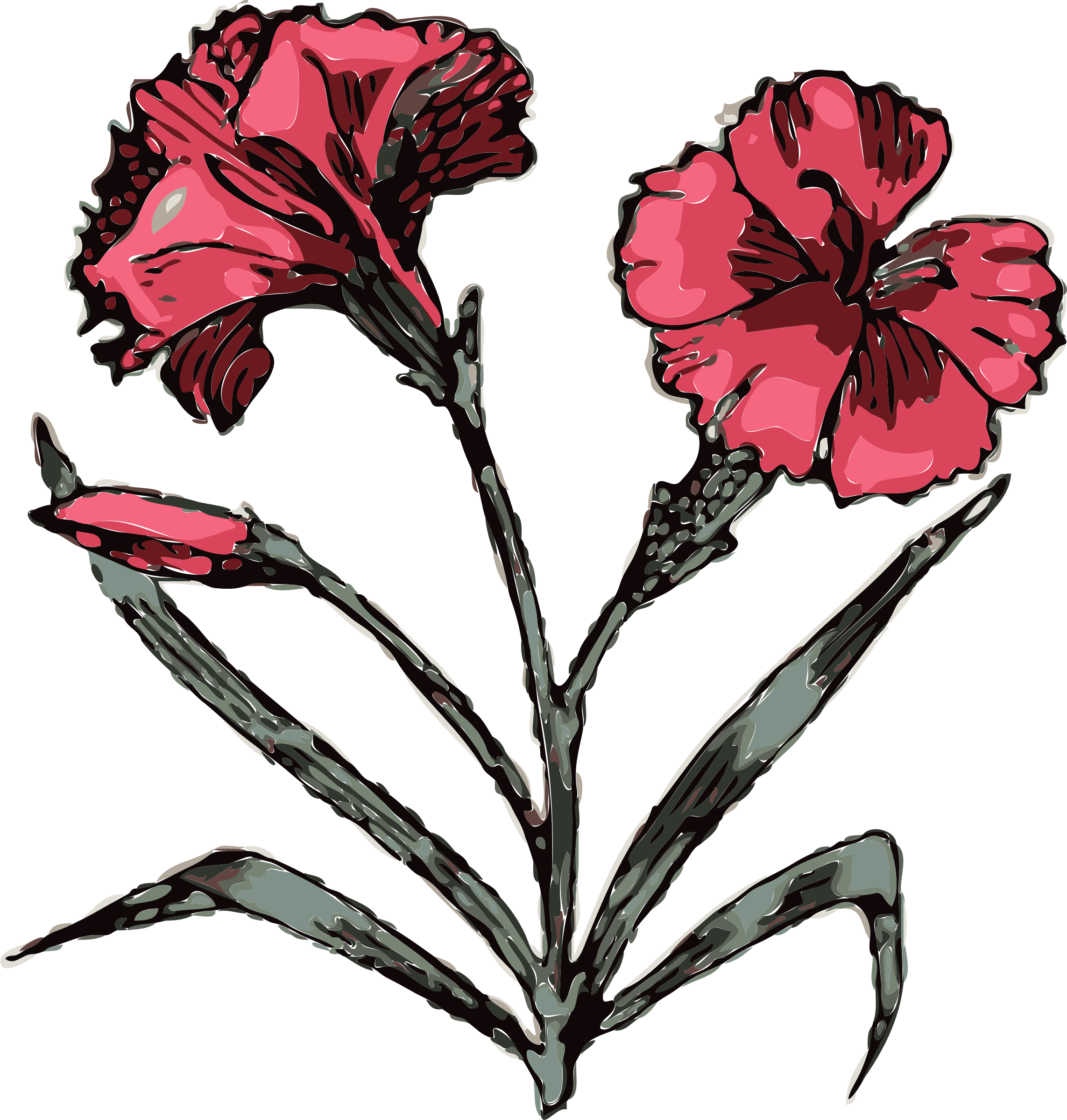 Similar Clip Art - Carnation Tattoo Designs - Free Transparent PNG Clipart Images Download. - Transparent PNG Free Download | PNGio